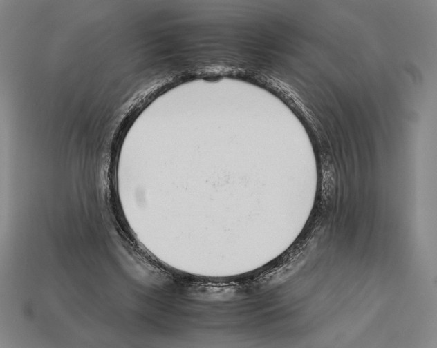 X0000112510443200909280959