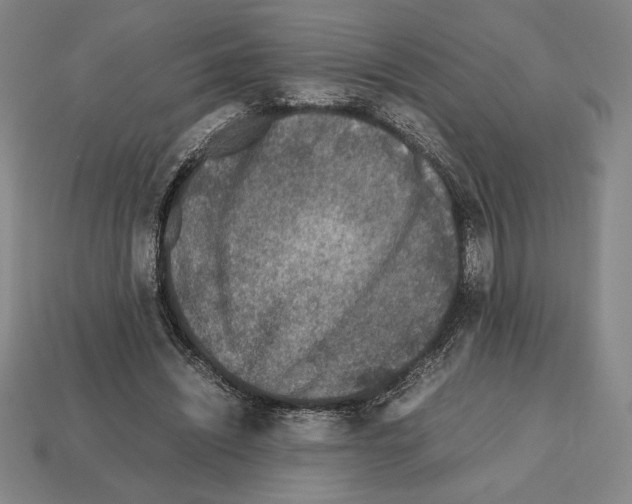 X0000112510444200909280959