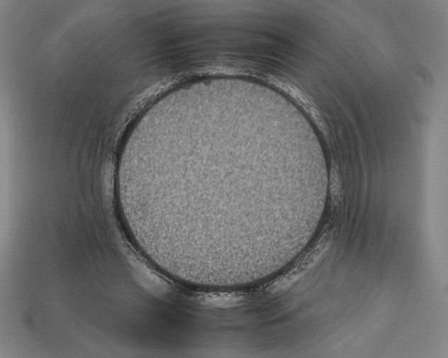 X0000112510445200909280959