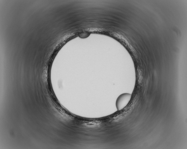 X0000112510447200909280959