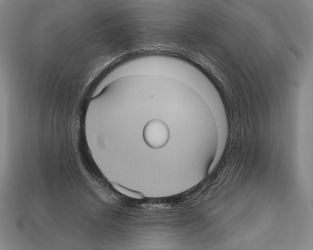 X0000112510448200909280959