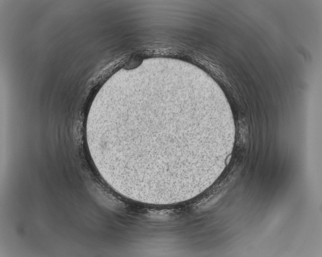 X0000112510450200909280959