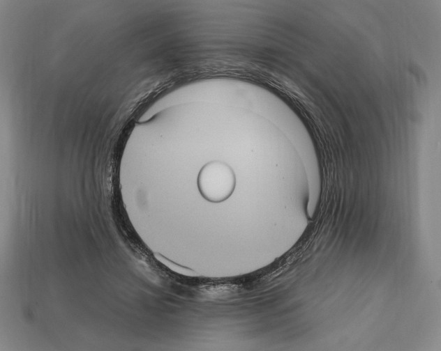 X0000112510452200909280959