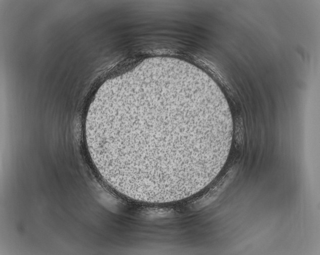 X0000112510453200909280959