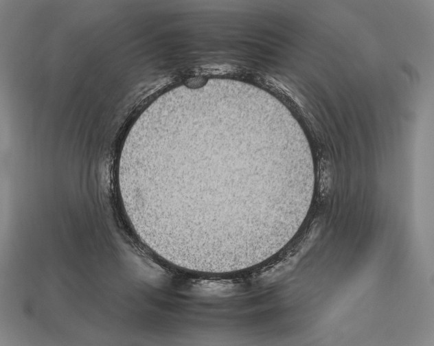 X0000112510455200909280959