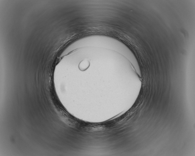 X0000112510456200909280959