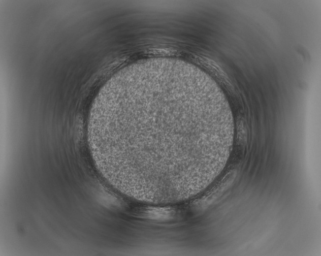 X0000112510457200909280959