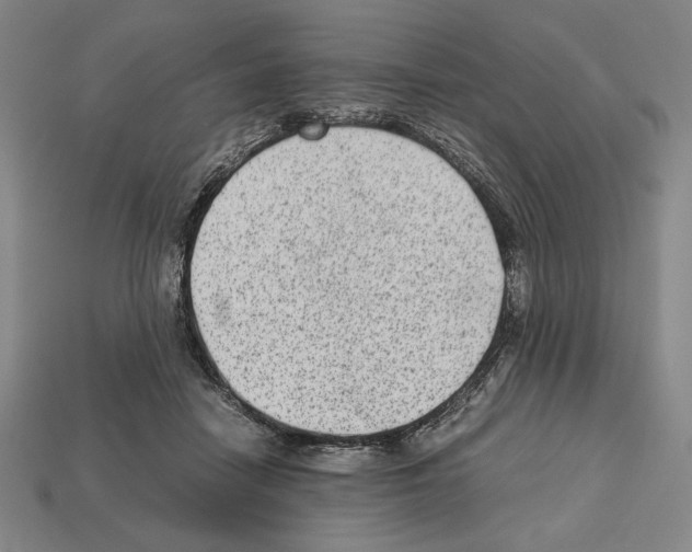 X0000112510458200909280959