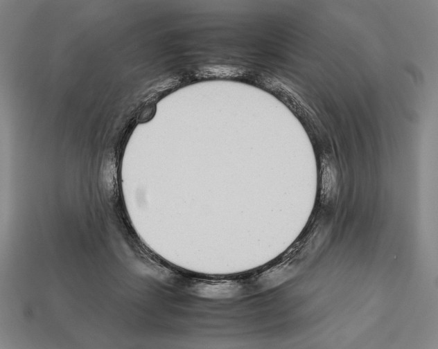 X0000112510459200909280959