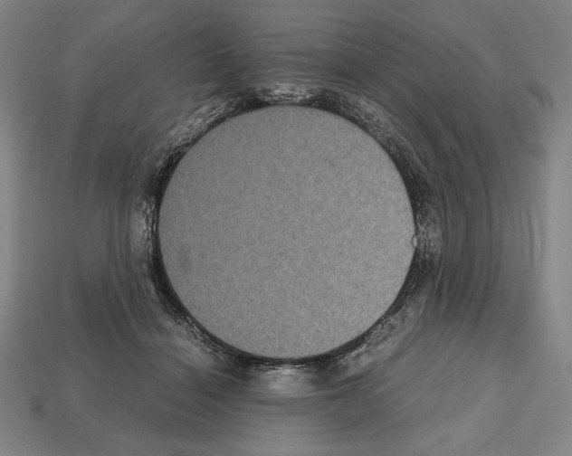 X0000112510460200909280959