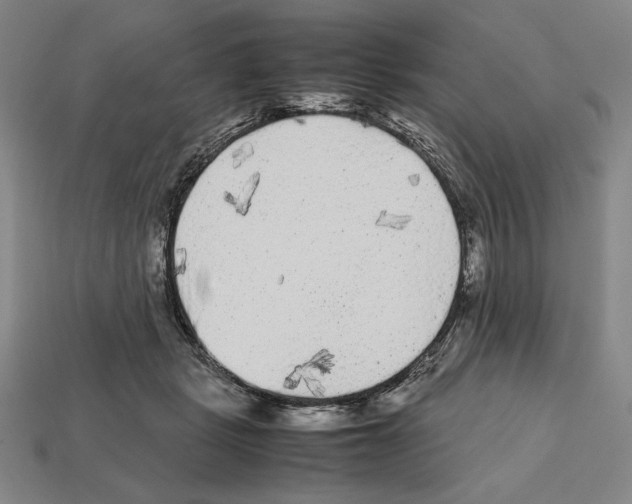 X0000112510461200909280959