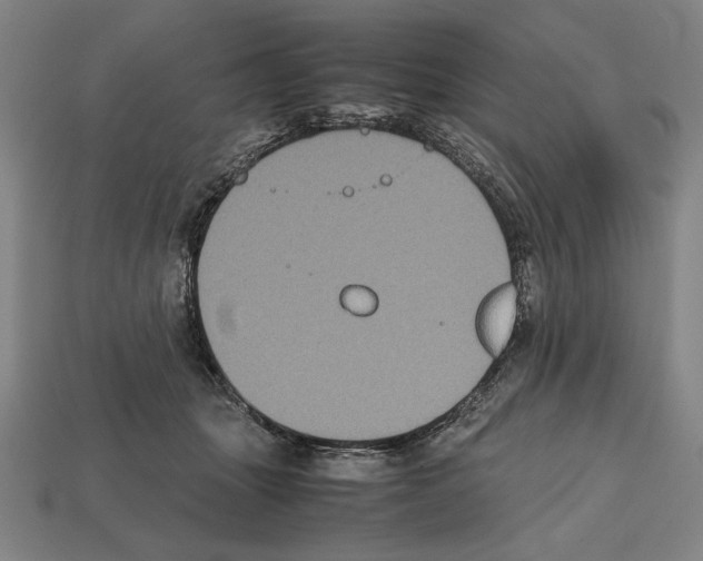 X0000112510463200909280959