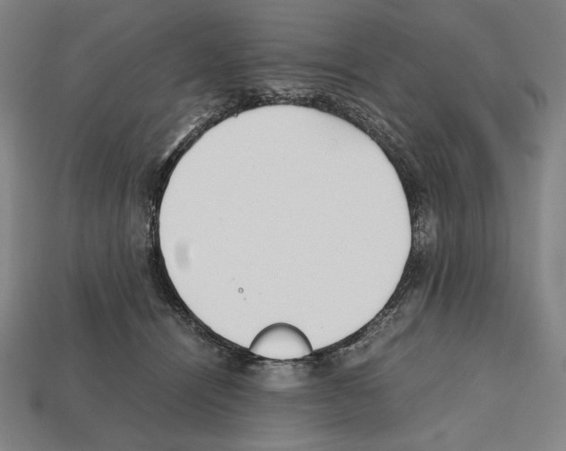 X0000112510464200909280959