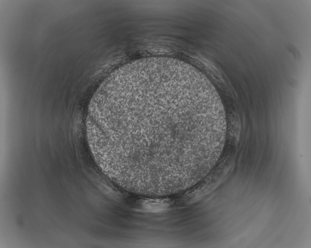 X0000112510465200909280959