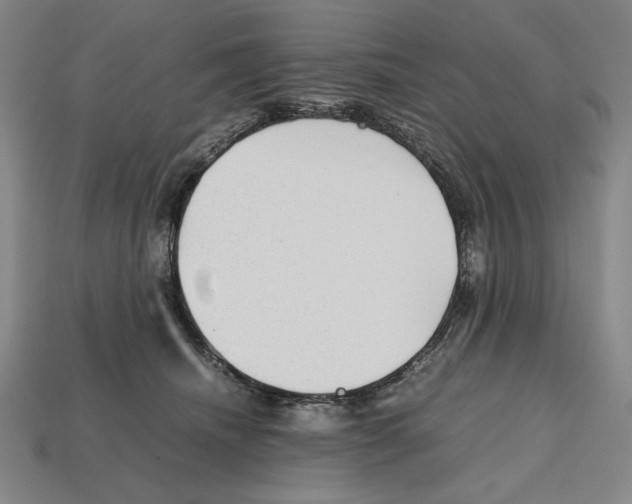 X0000112510468200909280959