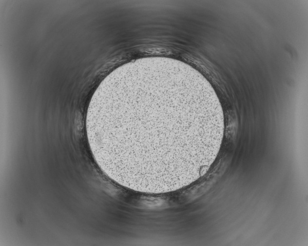 X0000112510469200909280959