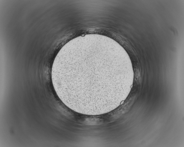 X0000112510470200909280959