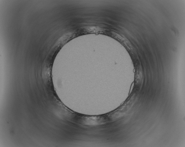 X0000112510473200909280959