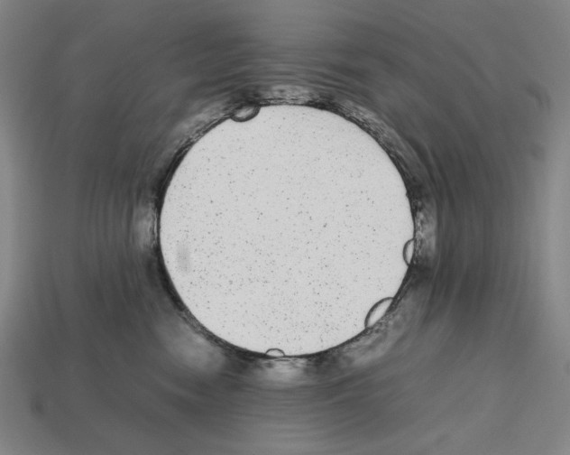 X0000112510474200909280959