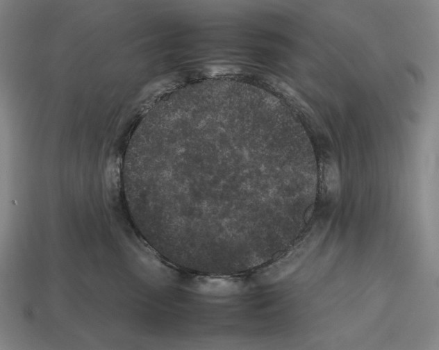 X0000112510475200909280959