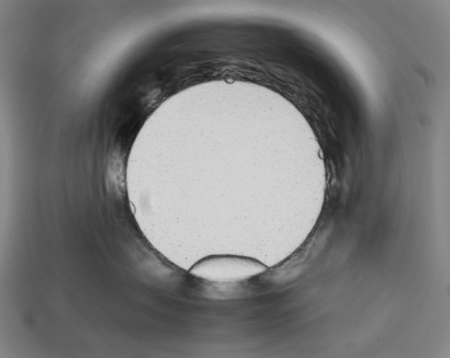 X0000112510479200909280959