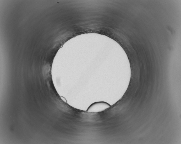 X0000112510480200909280959