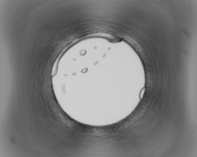 X0000112510481200909280958