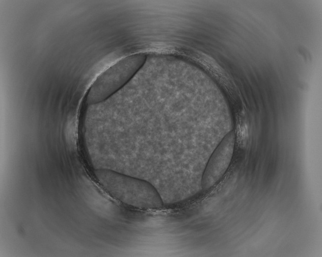 X0000112510484200909280958