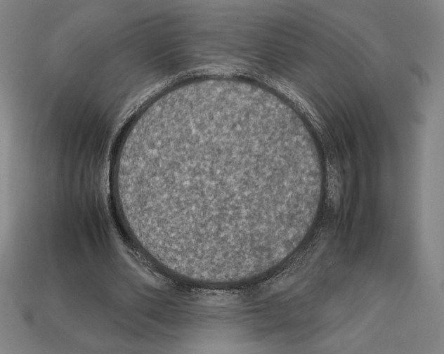 X0000112510486200909280958