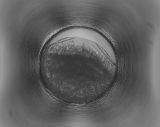 X0000112510488200909280958