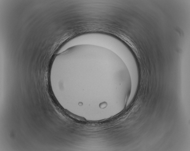 X0000112510489200909280958