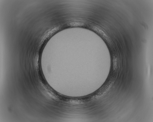 X0000112510490200909280958