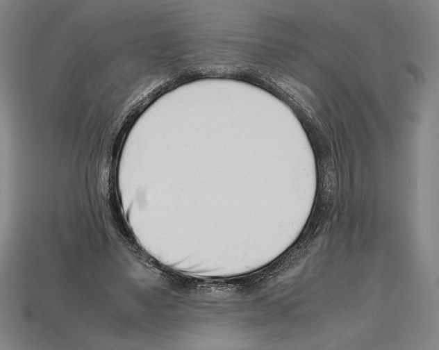 X0000112510491200909280958