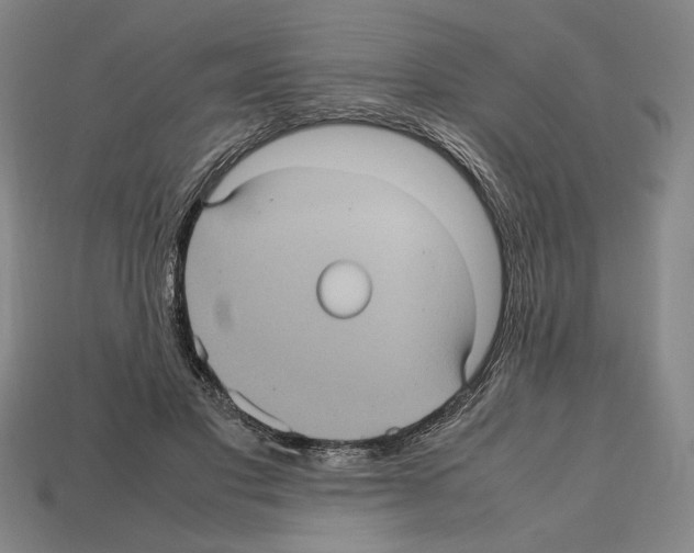 X0000112510501200909280958