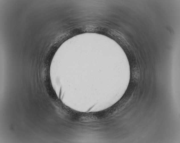 X0000112510503200909280958