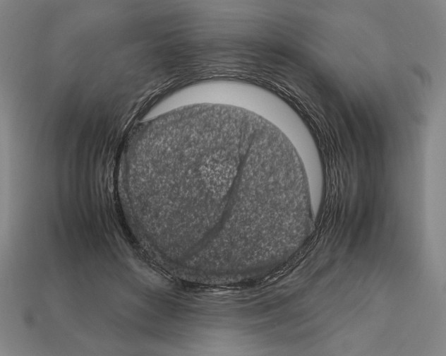 X0000112510504200909280958