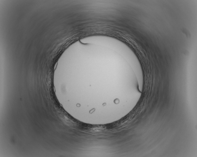 X0000112510505200909280958