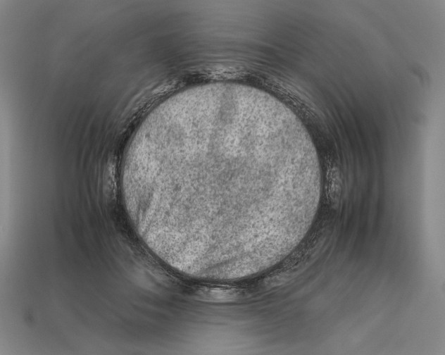 X0000112510506200909280958