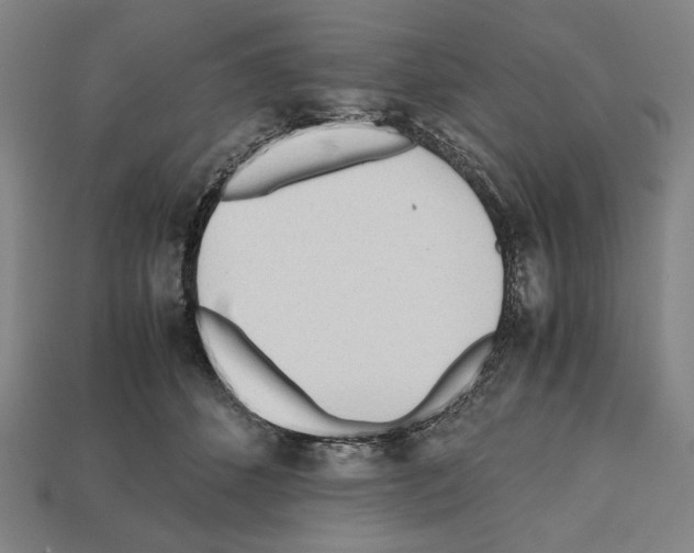 X0000112510512200909280958