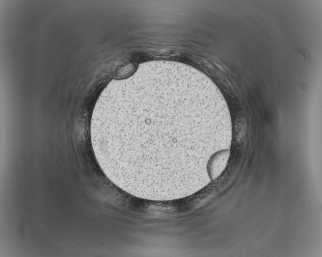 X0000112510515200909280958