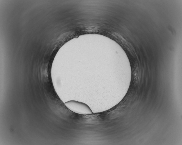 X0000112510516200909280958