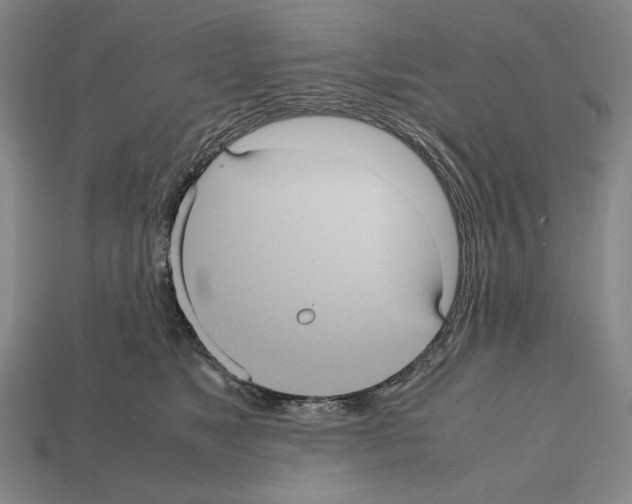 X0000112510517200909280958