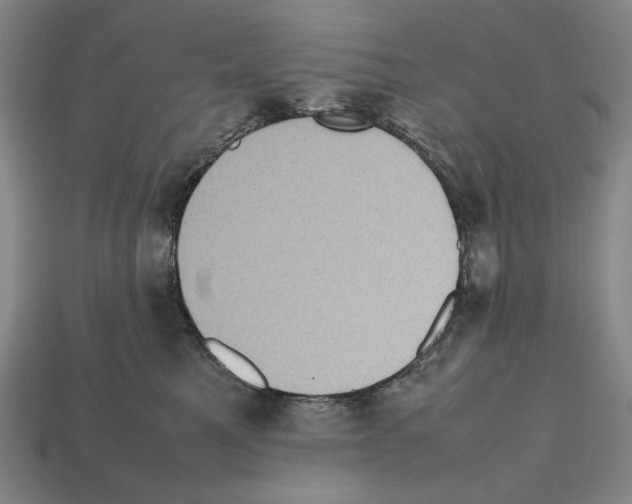 X0000112510521200909280958