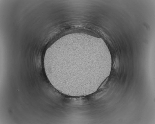 X0000112510524200909280958