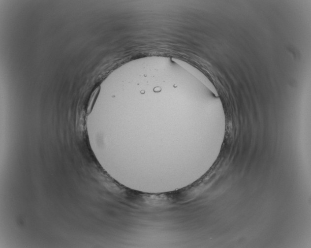 X0000112510525200909280958