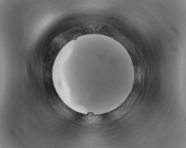 X0000112510526200909280958