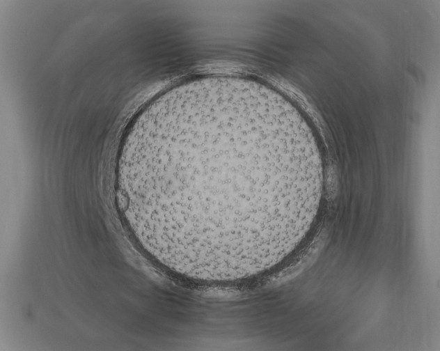 X0000112510529200909280957