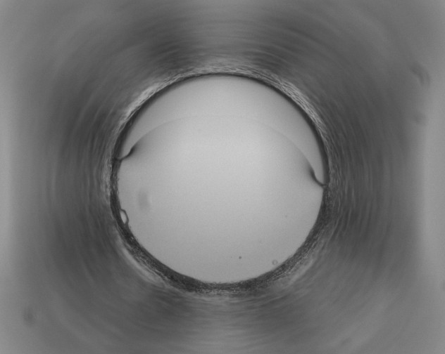 X0000112510530200909280957