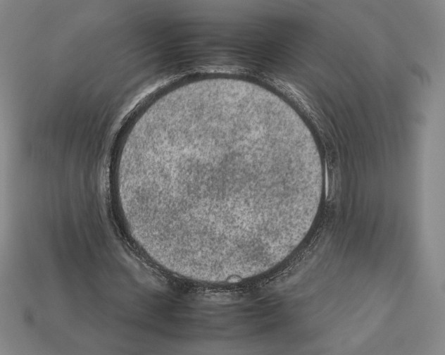 X0000112510531200909280957