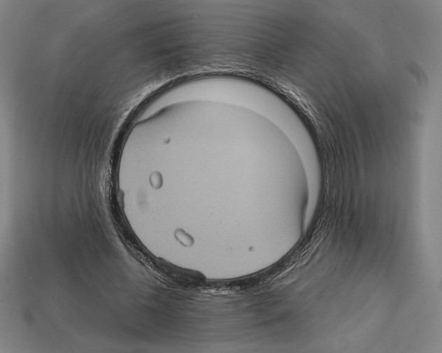 X0000112510540200909280957